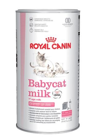 Royal Canin Babycat Milk in Sharjah