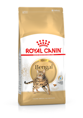 Royal Canin Bengal Dry Cat Food in Sharjah