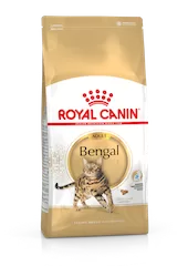 Royal Canin Bengal Dry Cat Food in Sharjah, UAE