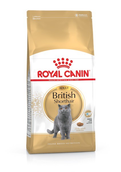 Royal Canin British Shorthair Cat Food in Sharjah, Dubai