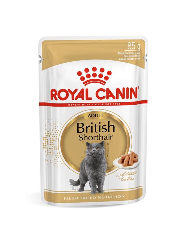 Royal Canin British Shorthair Wet Cat Food in Sharjah, Dubai