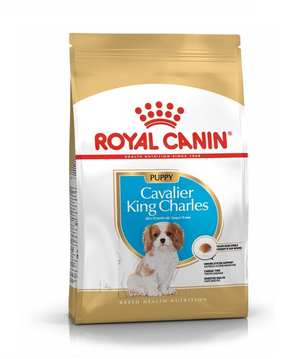 Royal Canin Cavalier King Charles Puppy Dry Food in Sharjah, Dubai