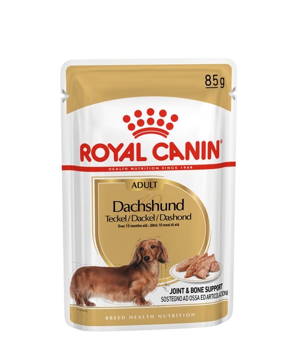 Royal Canin Dachshund Wet Dog Food in Sharjah