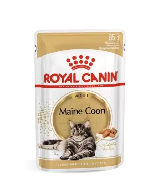 Royal Canin Maine Coon Wet Cat Food in Sharjah, UAE