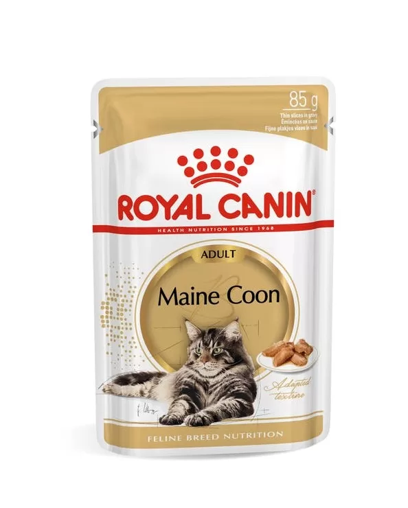 Royal Canin Maine Coon Wet Cat Food in Sharjah, UAE