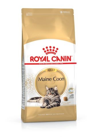 Royal Canin Maine Coon Adult Dry Cat Food in Sharjah, Dubai