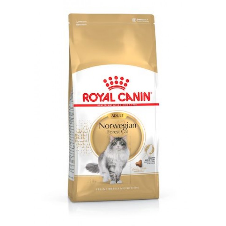 Royal Canin Norwegian Forest Cat Dry Cat Food in Sharjah