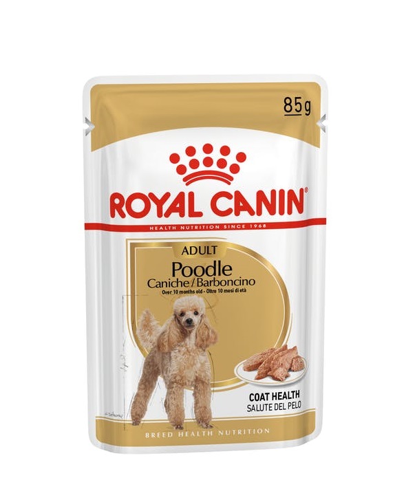 Royal Canin Poodle Wet Dog Food in Sharjah, Dubai