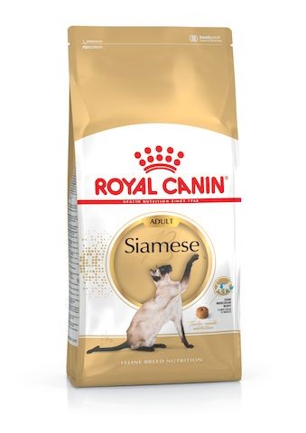 Royal Canin Siamese Adult Dry Cat Food in Sharjah