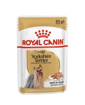 Royal Canin Yorkshire Terrier Wet Dog Food in Sharjah, UAE