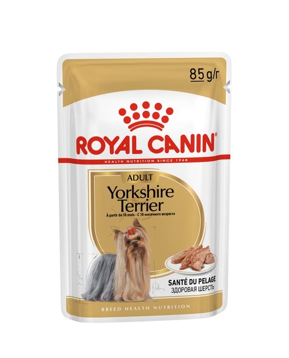 Royal Canin Yorkshire Terrier Wet Dog Food in Sharjah
