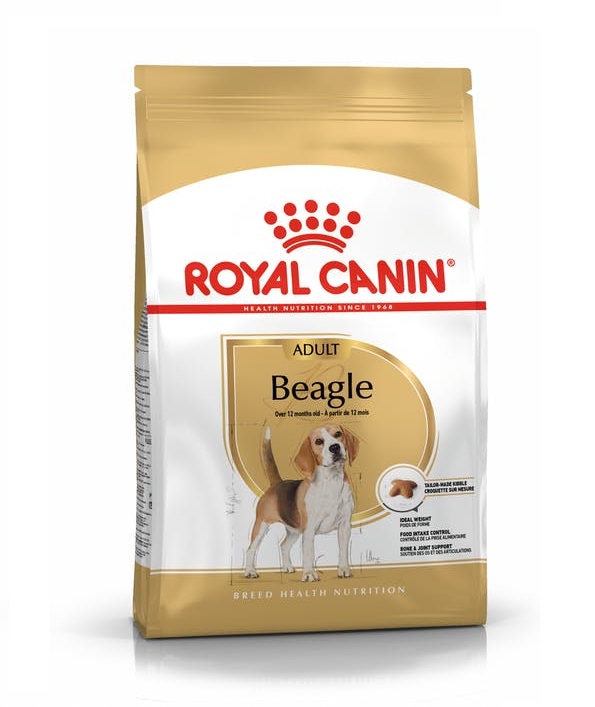 Royal Canin Beagle Adult dry dog food in Sharjah