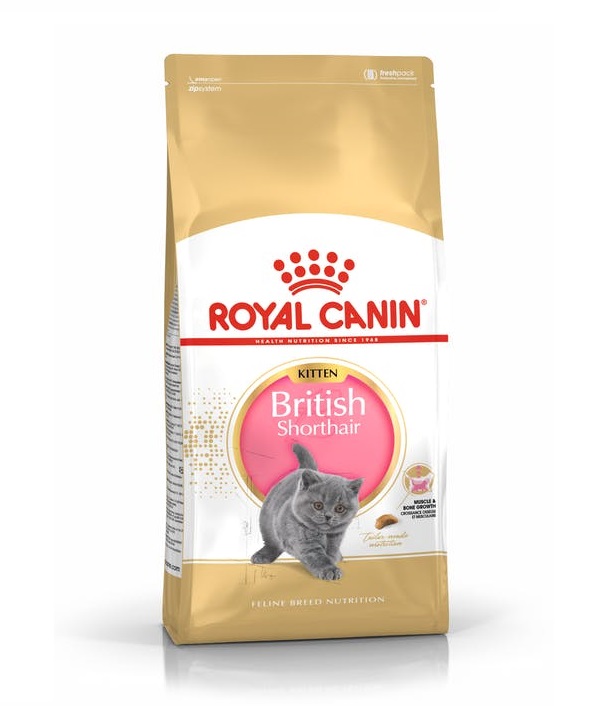 Royal Canin British Shorthair Kitten Dry Food in Sharjah
