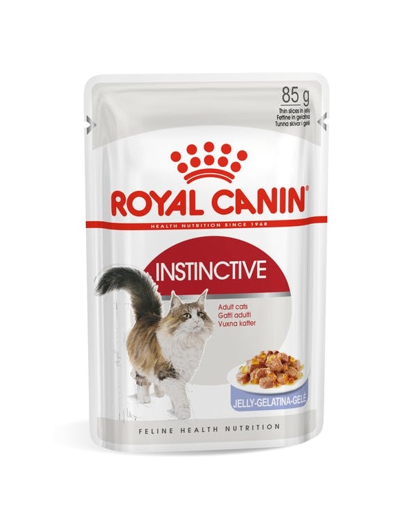 Royal Canin Instinctive Adult Cats Wet Food Jelly in Dubai Sharjah Abu Dhabi UAE