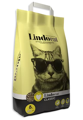 Non Clumping Cat Litter in Sharjah, UAE