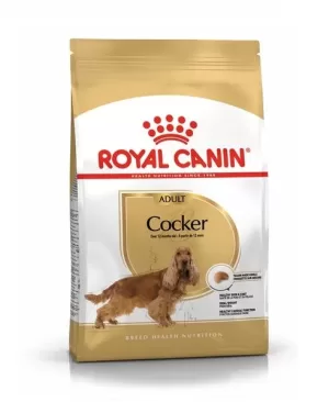 Royal Canin Cocker Adult Dry Dog Food in Sharjah, UAE