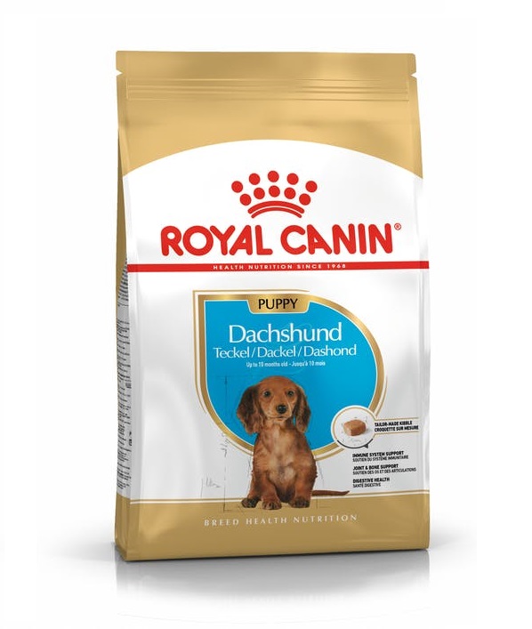 Royal Canin Dachshund Puppy Dry Food in Sharjah, Dubai