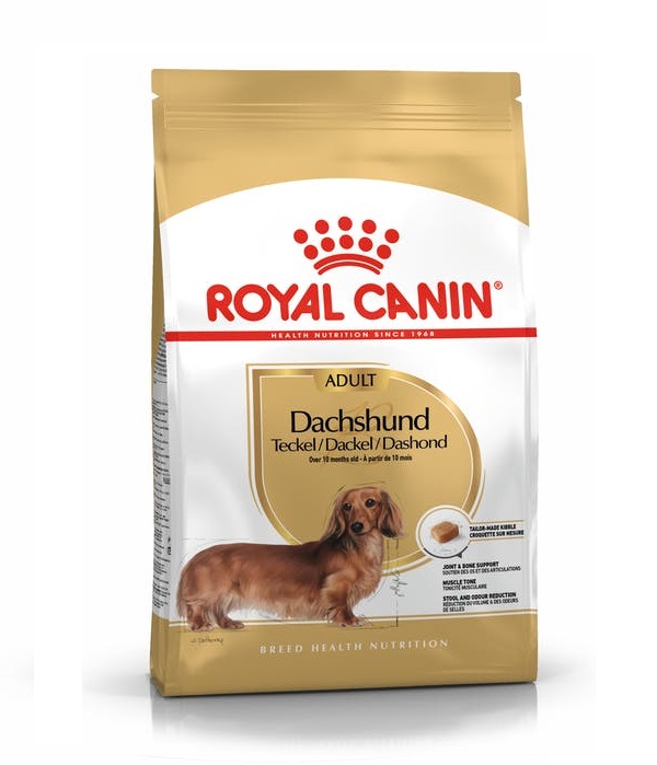 Royal Canin Dachshund Adult Dry Dog Food in Sharjah, Dubai