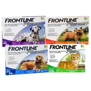 Pet Flea and Tick Prevention in Sharjah, UAE