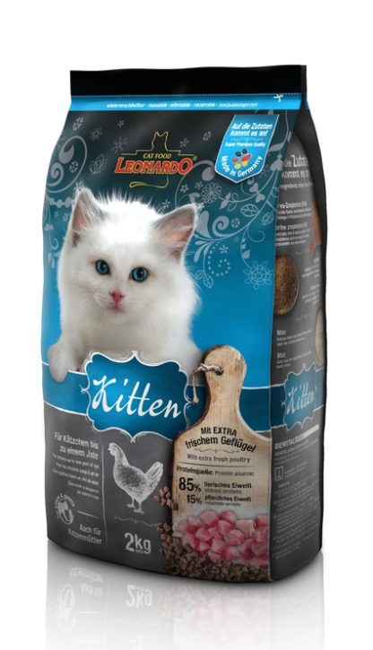 LEONARDO Kitten