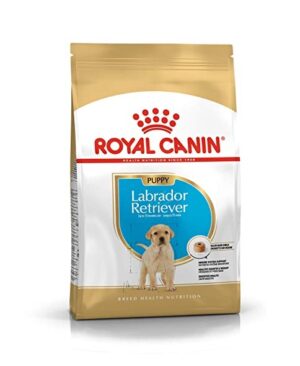Royal Canin Labrador Retriever Puppy Dry Food in Sharjah