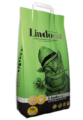 Bio Cat Litter in Sharjah, UAE