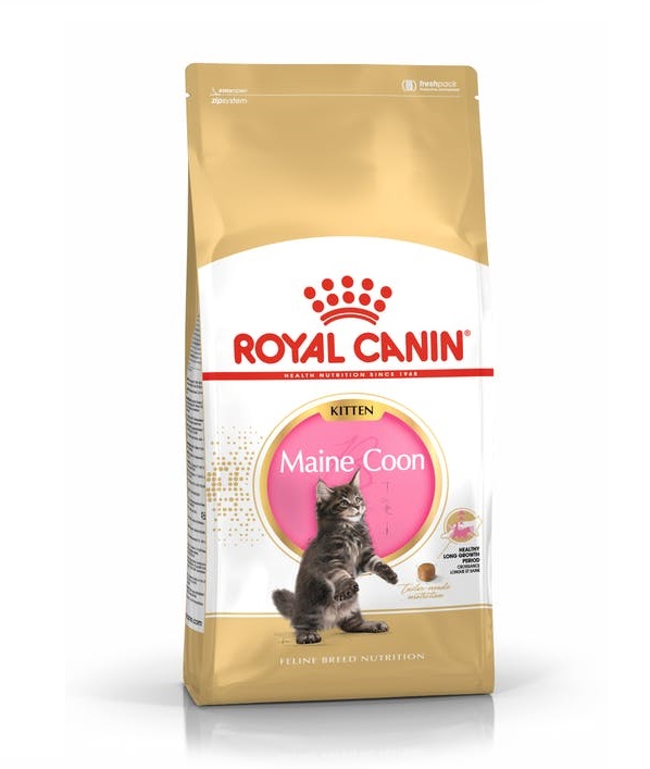 Royal Canin Maine Coon Kitten Dry Cat Food in Sharjah