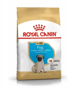 Royal Canin Pug Puppy Dry Food in Sharjah, UAE