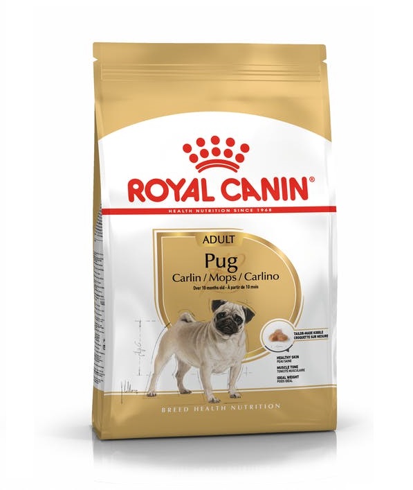 Royal Canin Pug Adult Dry Dog Food in Sharjah