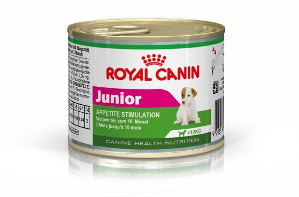 Royal Canin Mini Junior Wet Food in Sharjah