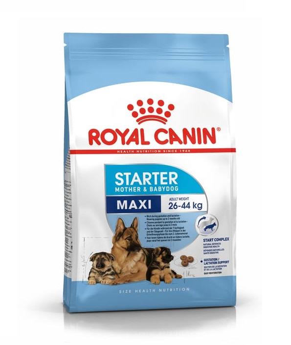 Royal Canin Maxi Starter Dry Food in Sharjah, Dubai