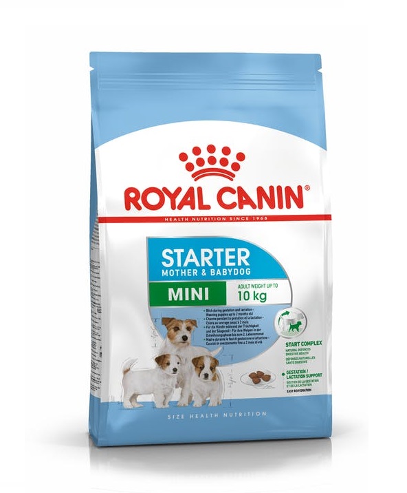 Royal Canin Mini Starter Dry Food in Sharjah