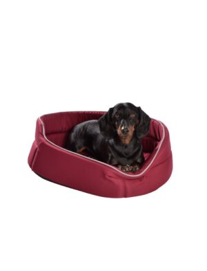 SUPERDOG BASKET Washable - BURGUNDY