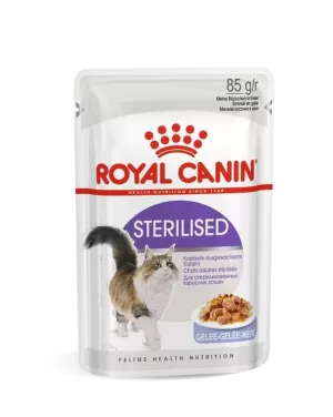 Royal Canin Sterilised in Jelly Wet Cat Food in Sharjah, UAE