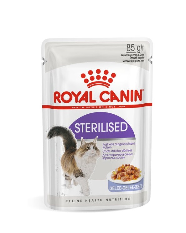 Royal Canin Sterilised in Jelly Wet Cat Food in Sharjah