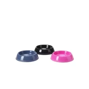 Pet Bowl in Sharjah, UAE