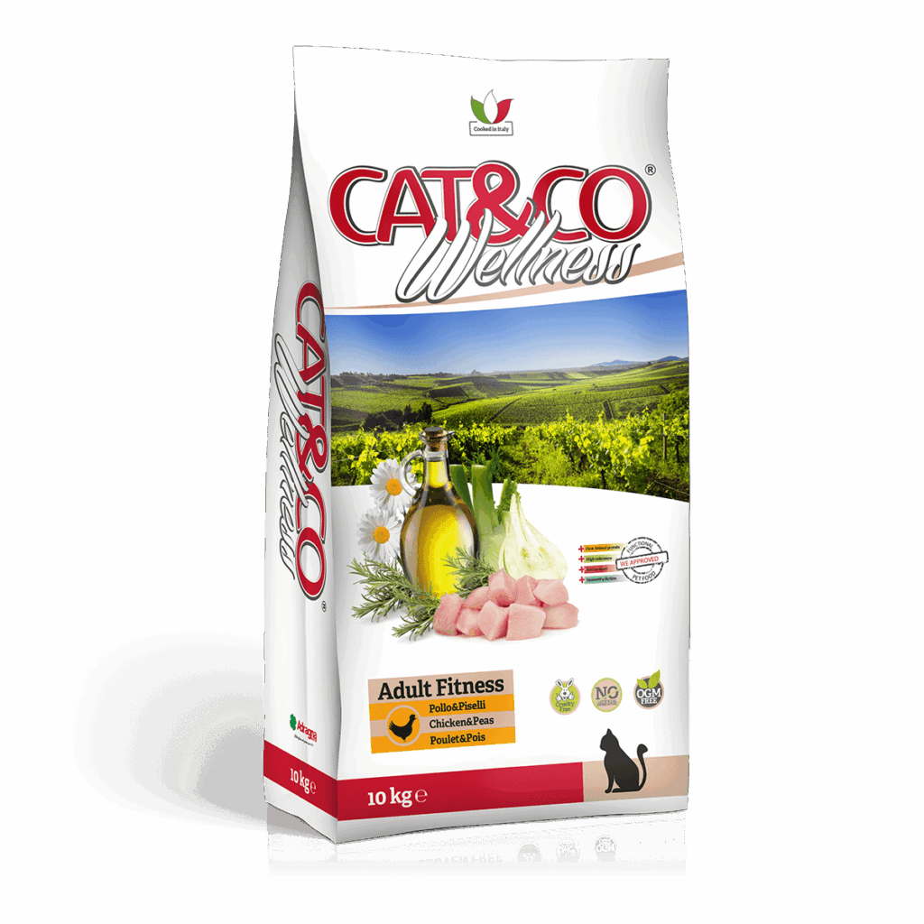 The Best Cat Food in UAE Zooandpet Pet Shop