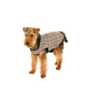 Flamingo Dog Coat English Sytle 32