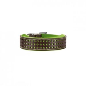 Hunter Collar Marbella Green 54cm