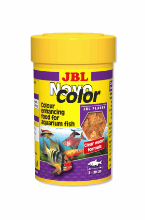 fish food
