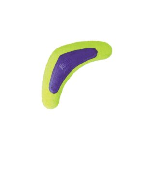 Kong Air Squeaker Boomerang