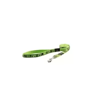 Pet Leash in Sharjah, UAE