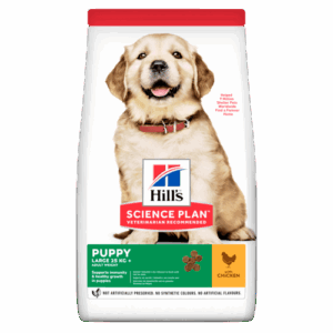 HILL'S SCIENCE PLAN Large Breed Puppy Food with Chicken