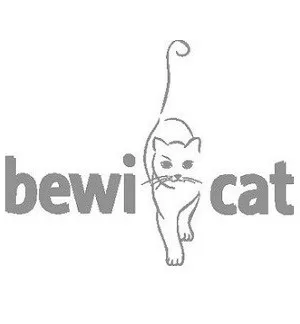 Bewi Cat in Sharjah, UAE