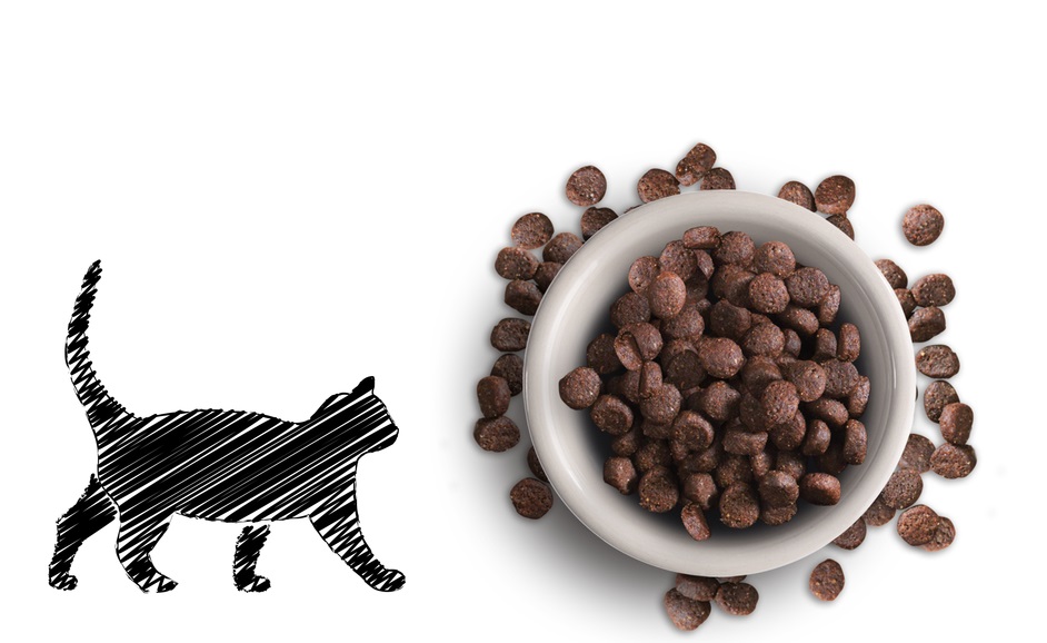 Cat food Dry UAE Dubai Abu Dhabi Sharjah Kitten food Shop zoo and pet