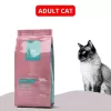 Royal Premia Basic Dry Cat food 10kg