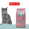 Royal Premia Basic Cat food 2kg