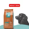 Royal Premia Basic Dry Dog food 2kg