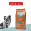 Royal Premia Basic Dry Dog food 2kg