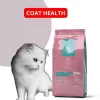 Royal Premia Advance Supreme Dry Cat Food 10kg